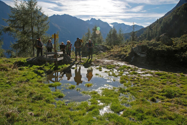 Oberhalb der Polltalalm am Weg zum Breilehnjöchl