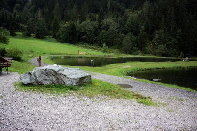 Forellenteich im Freizeit- und Wildpark Untertauern.
