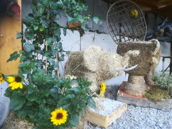 Besuchen Sie die HeuART-Galerie