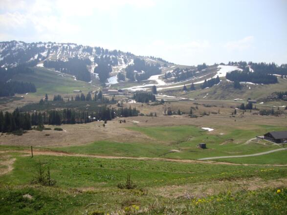Blick vom Steinernen Tor Richtung Hochhäderich
