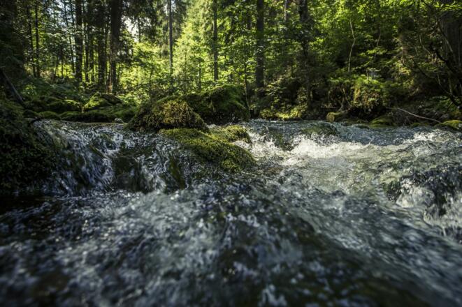 Bergbach - Kesselschwand Sommer