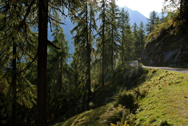 Almweg zur Polltalalm