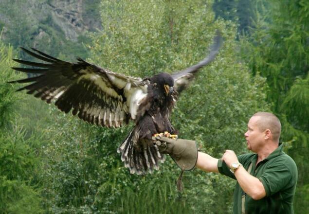 Greivogelpark Arena Umhausen