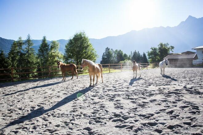 haderlehn_2016_72dpi_danielzangerl (62 von 81)