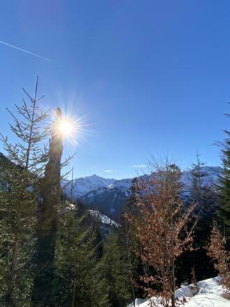 FAA2291A-2A07-4916-AE0C-C46EBC5AE3A1