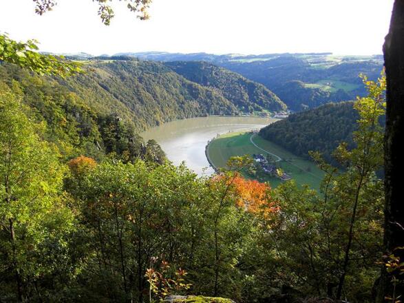 Schlögener Schlinge