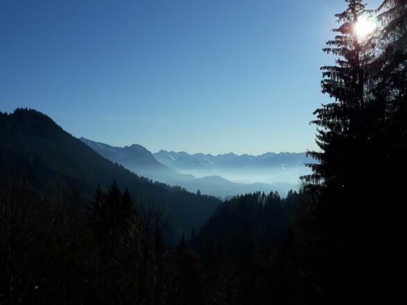 vom Grünten Blick auf Alpen