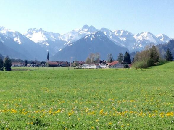 Löwenzahnwiese vor Fischen