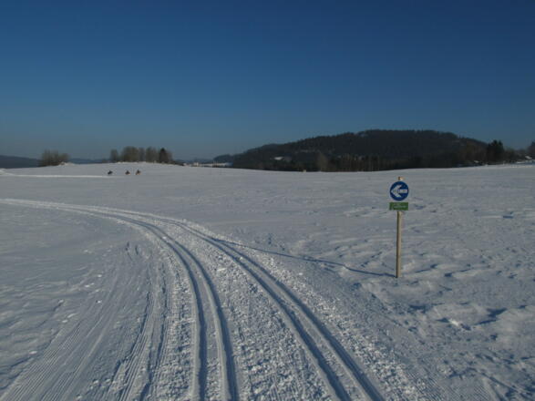 Plateauloipe 32 bei Amesreith - Piberschlag
