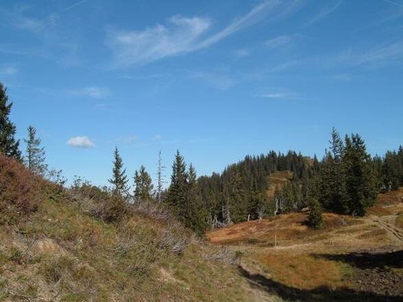 Wanderung zum Wannenkopf