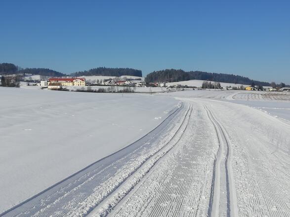 Blick auf Pferdeeisenbahnhof Kerschbaum
