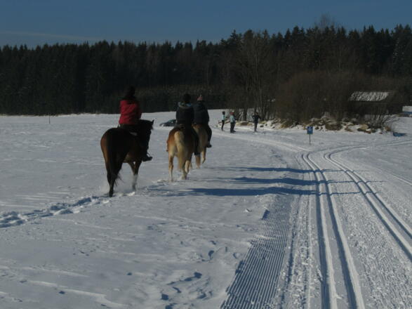 Plateauloipe 32 bei Amesreith