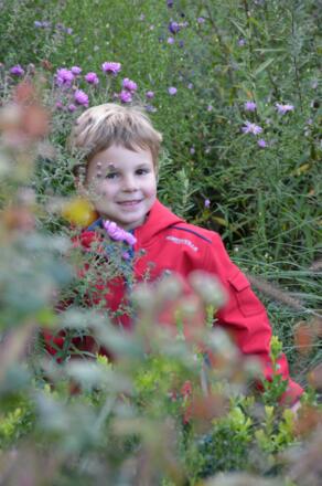 \&quot;Gartenzimmer\&quot; Fam. Marksteiner, Mauthausen