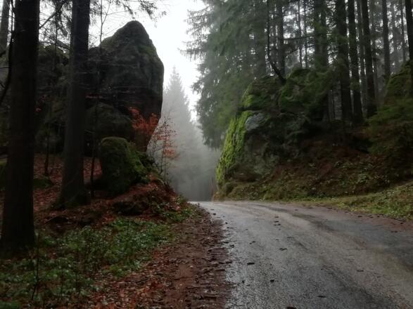Zufahrt zur Ruine Ruttenstein