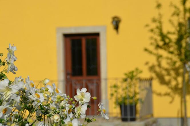 \&quot;Gartenzimmer\&quot; Fam. Marksteiner, Mauthausen