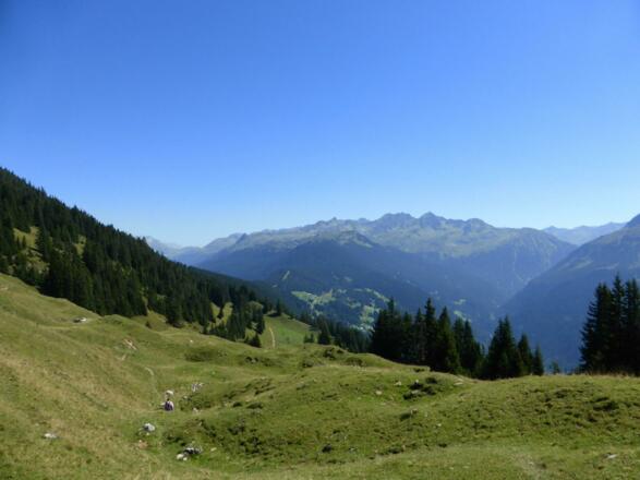 Korallenriff (unterhalb Obere Wiese)