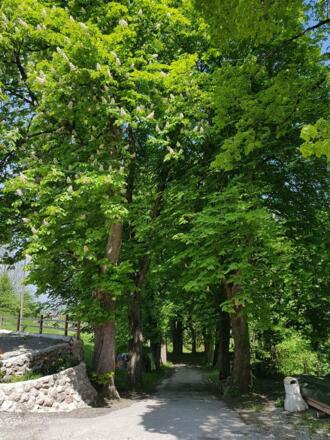 villa_kastanien_allee