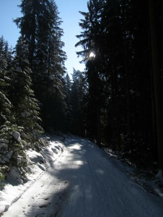 Rindlbergloipe 19 bei Sandl