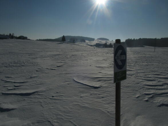 Plateauloipe 32 bei Amesreith