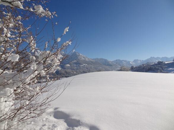 Winter im Allgäu