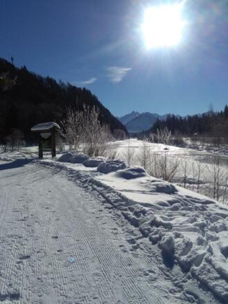 Winterwanderweg zum Auwaldsee