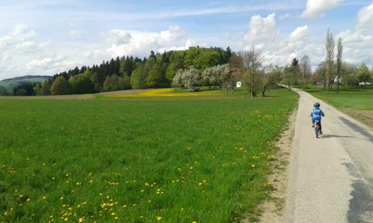 Pension-Gasthof Silvia: Unser Garten