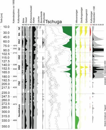 Pollenprofil Moor Tschuga