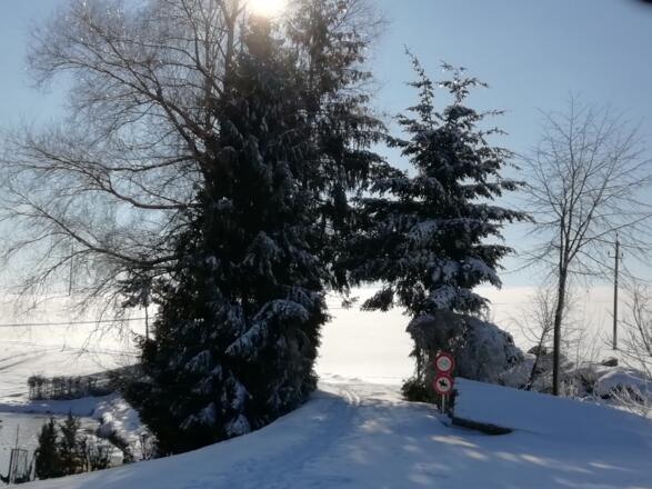 In Kerschbaum erreicht die Powertour den Nordwaldkammweg II