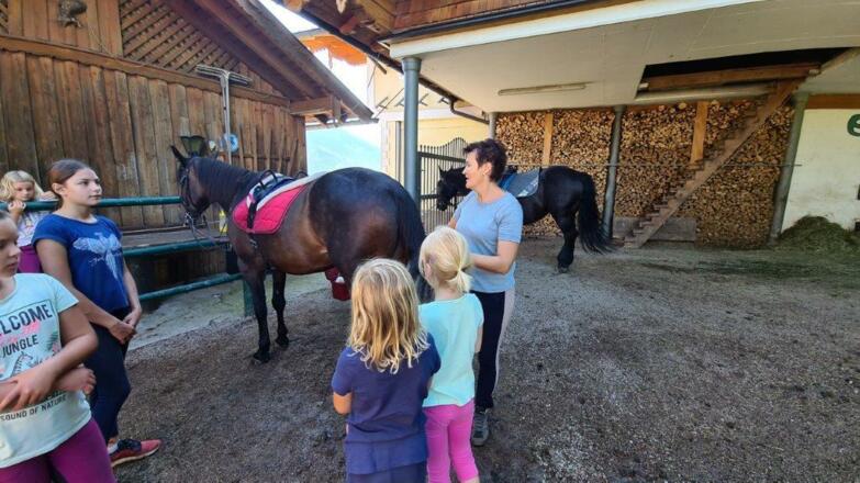 Kinder am Pferderücken