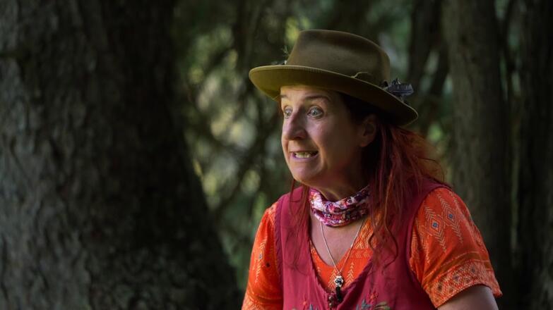 Hochdeutsch: Die Sage „Das Nachtvolk und die Stieralpe“ erzählt von Hertha Glück auf Hochdeutsch ...