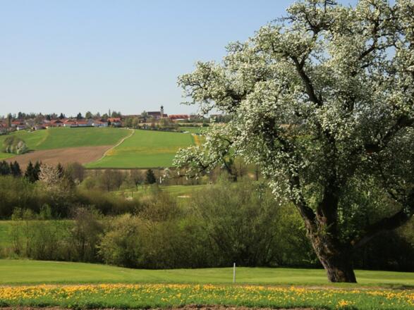 Genießen Sie eine wunderschöne Landschaft