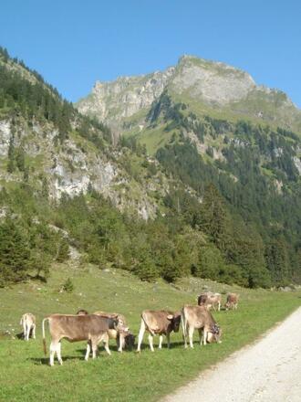 Sommer in den Allgäuer Bergen