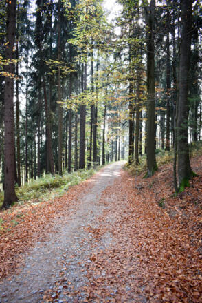 Rückweg nach Lichtenau