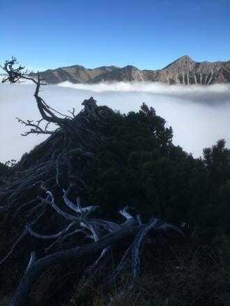 8BC4D3BD-C6B7-405F-B294-9A06AD36B436