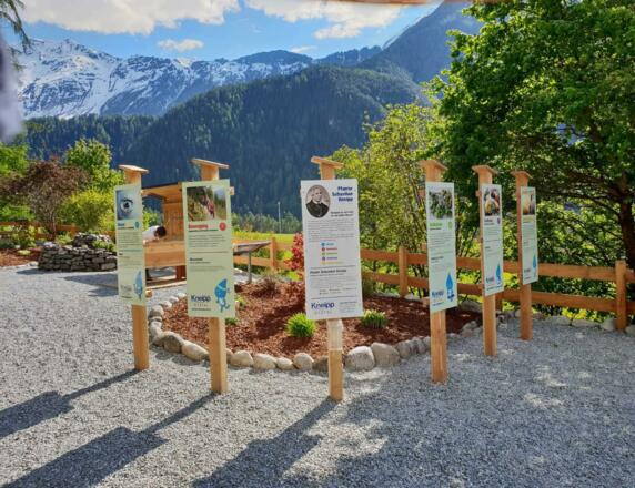 Kneippanlage Information