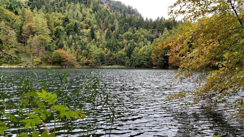 Eibensee im Herbst