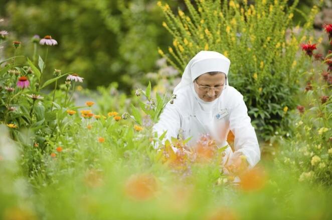 Kräutergarten Bad Mühllacken