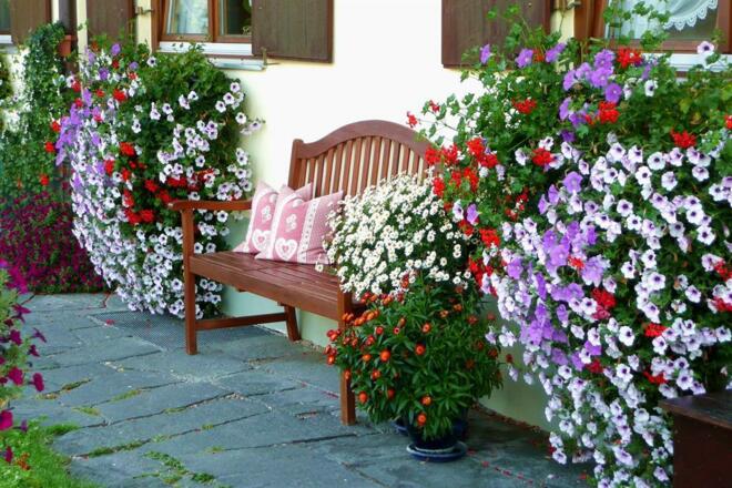 Ruhebank vor dem Haus