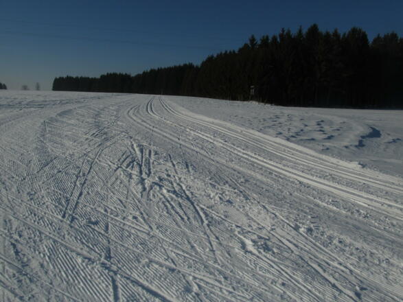 Plateauloipe 32 bei Amesreith