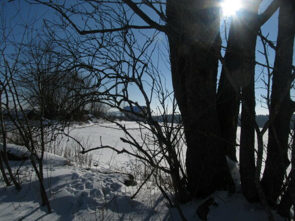 Rindlbergloipe 19 mit Rindlbergkapelle