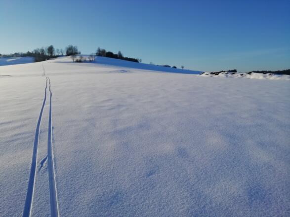 LL-Power Tour Eibenstein