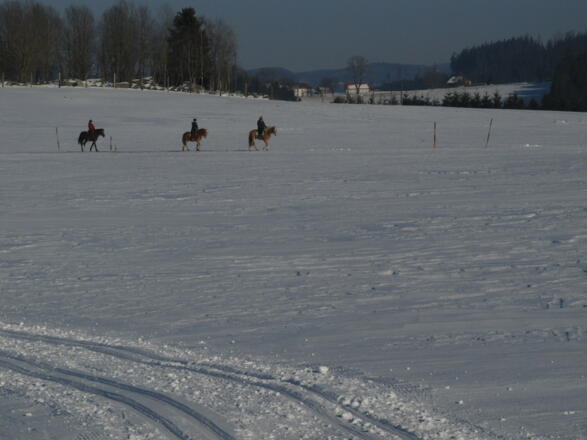 Plateauloipe 32 bei Amesreith - Piberschlag