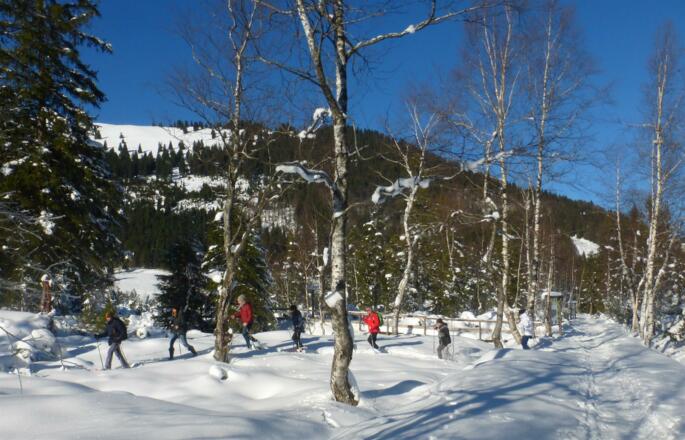 Schneeschuwandern