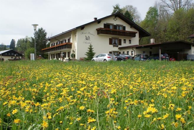 Unser Auerhof im Frühling