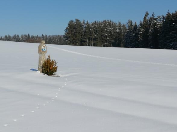 Marterl entlang Powertour bei Kerschbaum