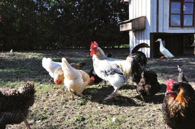 \&quot;Gartenzimmer\&quot; Fam. Marksteiner, Mauthausen