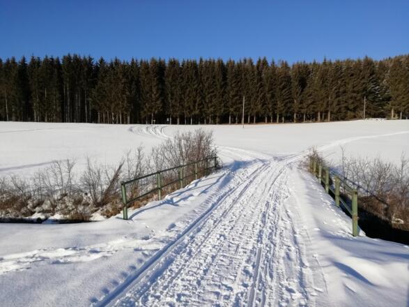 Froscherbachbrücke nördlich von Eibenstein am Nordwaldkammweg II