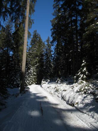 Rindlbergloipe 19 bei Sandl