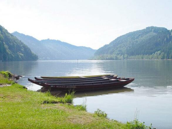 Ausblick auf die Donau