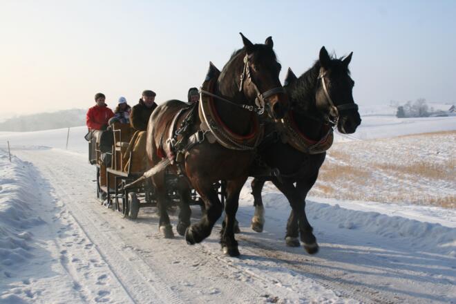 pferdeschlittenfahrt-031-2011-01-05